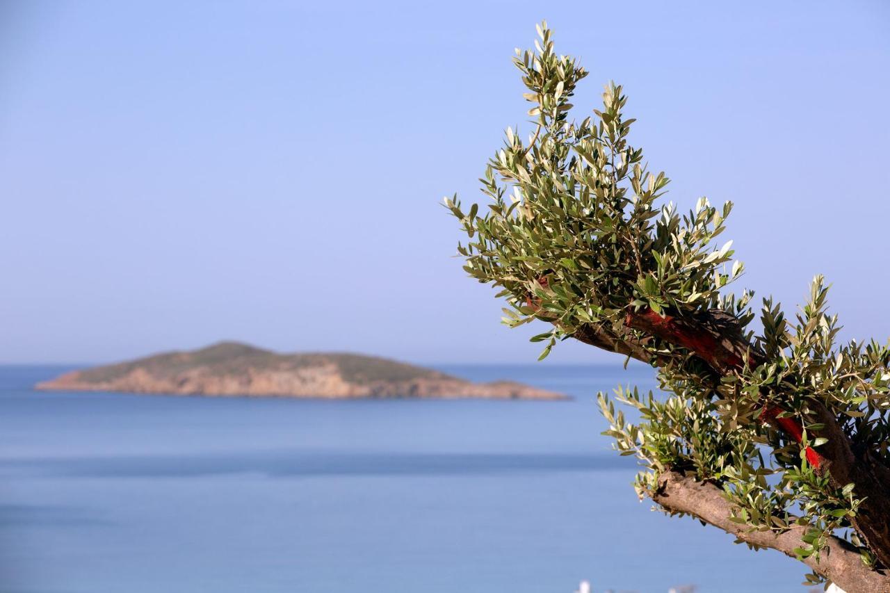 Elia Privileged Suites Andros Ανδροσ Zewnętrze zdjęcie
